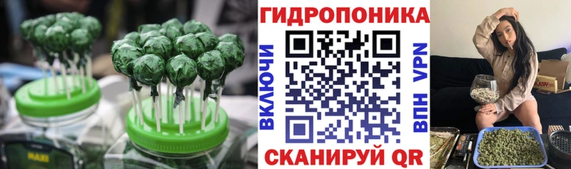 Купить  Костомукша  Cannafood конопля 
