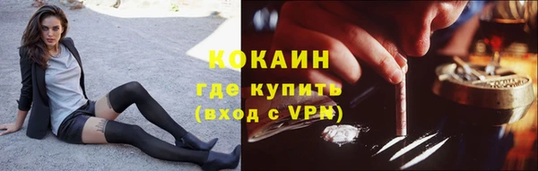 стафф Вяземский