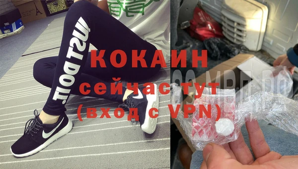 стафф Вяземский