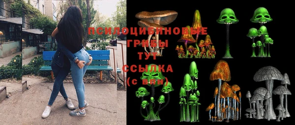 стафф Вяземский