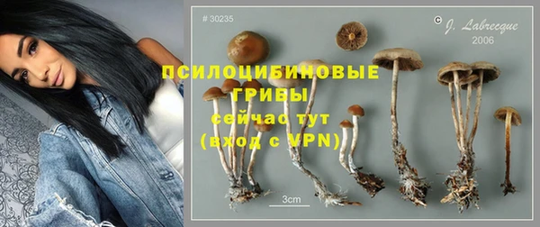прущая мука Вязьма
